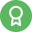 icon_professional